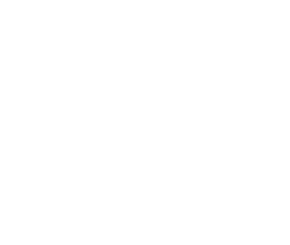 Mestiza