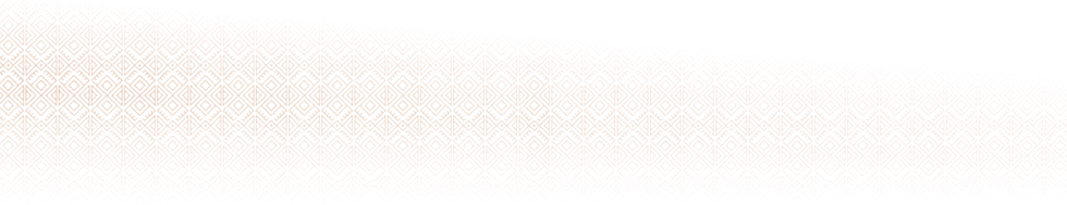 Footer Background for Mestiza Restaurant